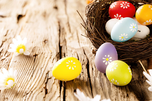 Congratulazioni per Pasqua 2017 - Insomma