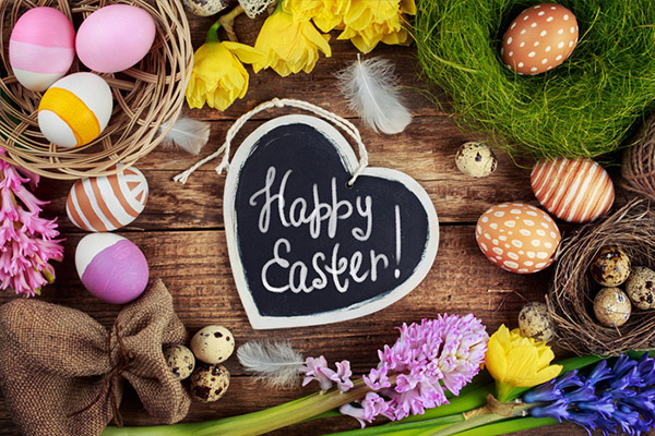 Congratulazioni per Pasqua 2017 - Insomma