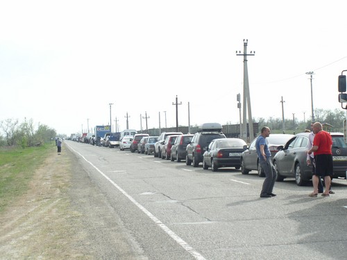 Andiamo in Crimea in macchina con un cane