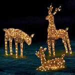 Illuminazione di Capodanno Illuminazione di Capodanno