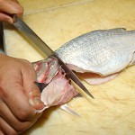 Lavorazione di pesci di diversi tipi Lavorazione di pesci di diversi tipi