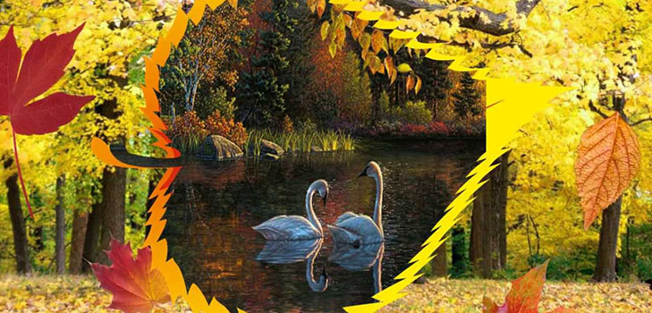 Scenario Autumn Ball nella scuola per studenti delle scuole superiori e gradi 5-7. Stengazeta e danza al Ballo d'Autunno