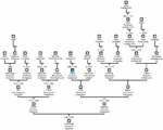 Ricerca genealogica iniziale
