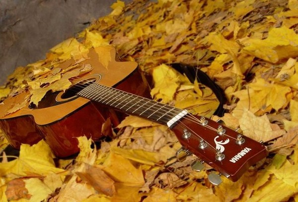 Canzoni e poesie per l'Autumn Ball per gli scolari: il migliore, moderno, bello e breve