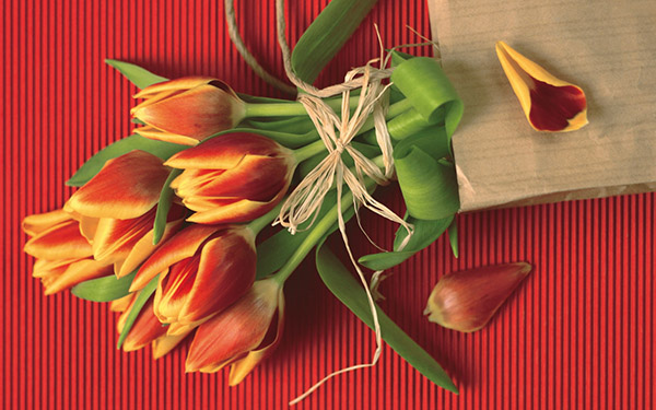 Belle canzoni l'8 marzo madre e nonna dai bambini