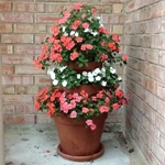 Fiori in piedi con le proprie mani