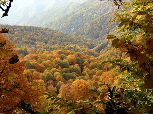 Tempo a Sochi nell'ottobre 2017