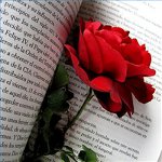 Congratulazioni per San Valentino in versetto