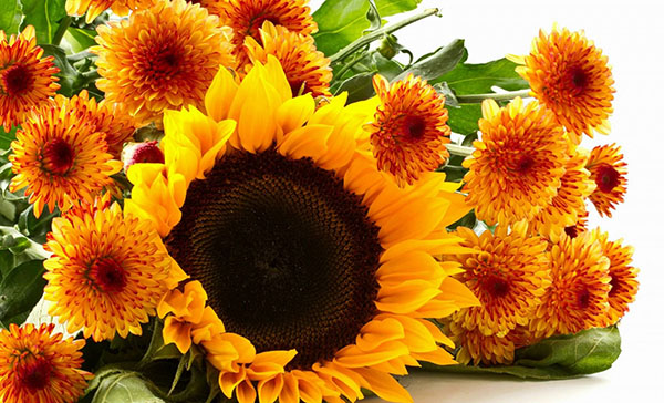 Congratulazioni per il Teacher's Day 2017 in prosa, poesia e immagini
