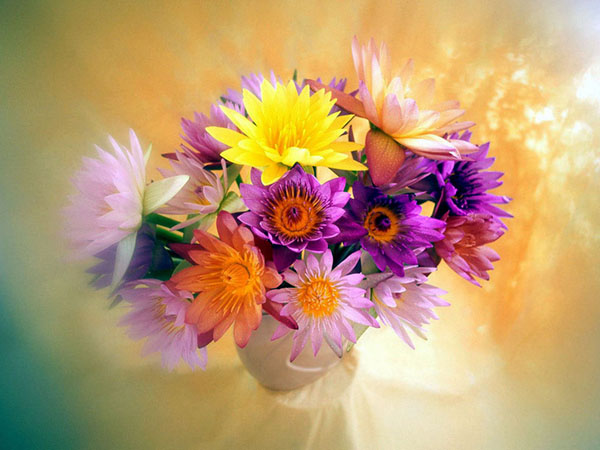 Congratulazioni per il Teacher's Day 2017 in prosa, poesia e immagini