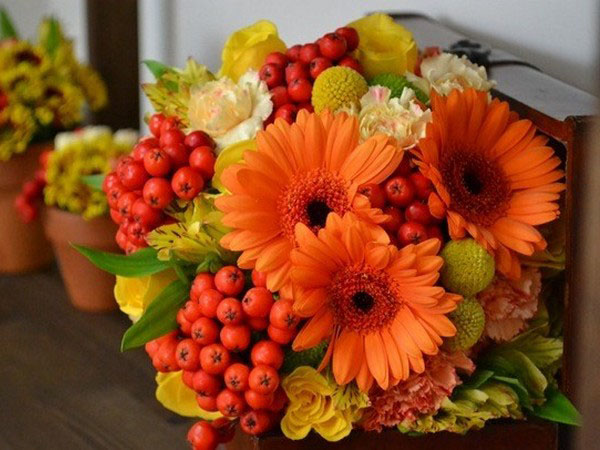Congratulazioni per il Teacher's Day 2017 in prosa, poesia e immagini