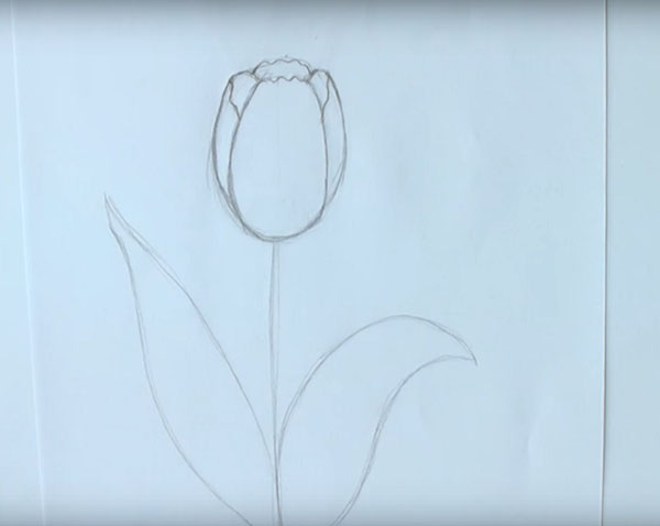 Immagine per l'8 marzo