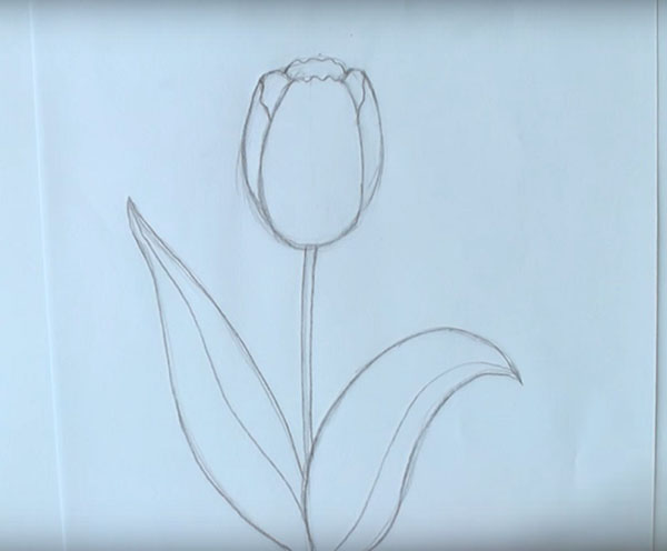Immagine per l'8 marzo
