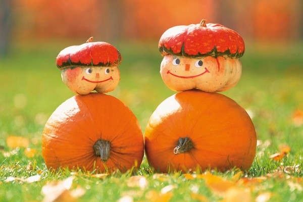 Scenario del Harvest Festival per scuola elementare, alunni senior, adulti e pensionati