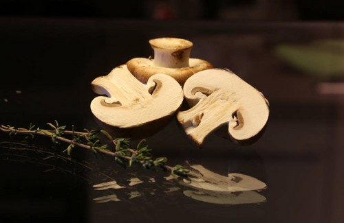 Funghi commestibili: classificazione e precauzioni