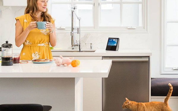 Smart home acustica: Amazon Echo Show sistema