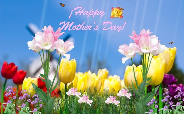 Sms with Mother's Day - breve, divertente, in versi e in prosa. Messaggi di congratulazioni a mamma, sorella, fidanzata, suocera, donne familiari