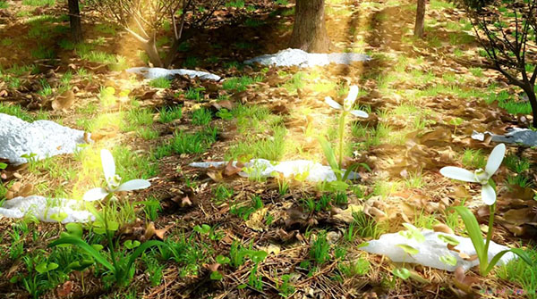 Composizione sul tema della primavera