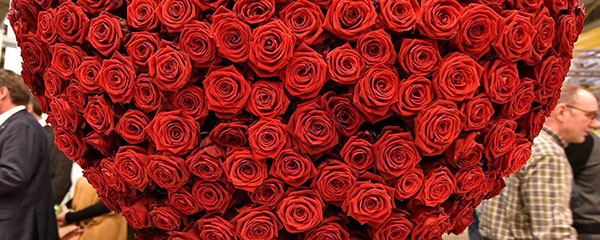 Poesie sull'amore
