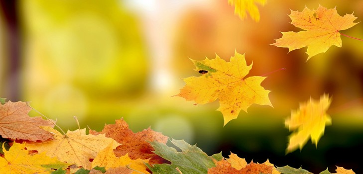 Brevi e belle poesie sull'autunno per i bambini all'asilo e alla scuola