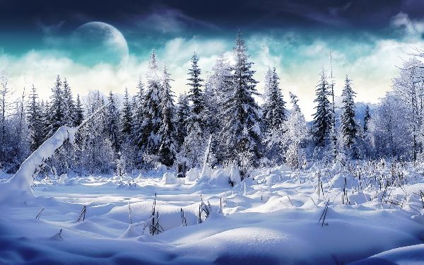 Poesie sull'inverno per i bambini: opzioni per la scuola materna e la scuola. Bei versi corti di poeti classici russi sull'inverno