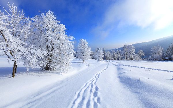 Poesie sull'inverno per i bambini: opzioni per la scuola materna e la scuola. Bei versi corti di poeti classici russi sull'inverno