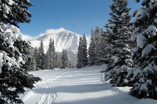 Poesie sull'inverno per i bambini: opzioni per la scuola materna e la scuola. Bei versi corti di poeti classici russi sull'inverno