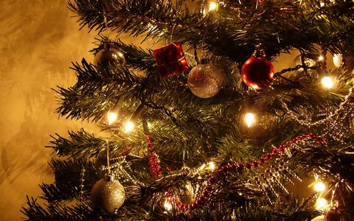 Poema per le pecore di Capodanno, desideri