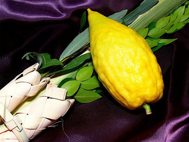 Sukkot: Festa di Shalashi