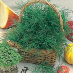 Raccolta del verde per l'inverno Raccolta del verde per l'inverno