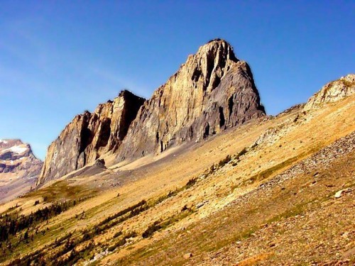 Che cos'è una natura vivente e inanimata