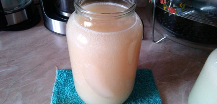 Ricette classiche a base di linfa di betulla