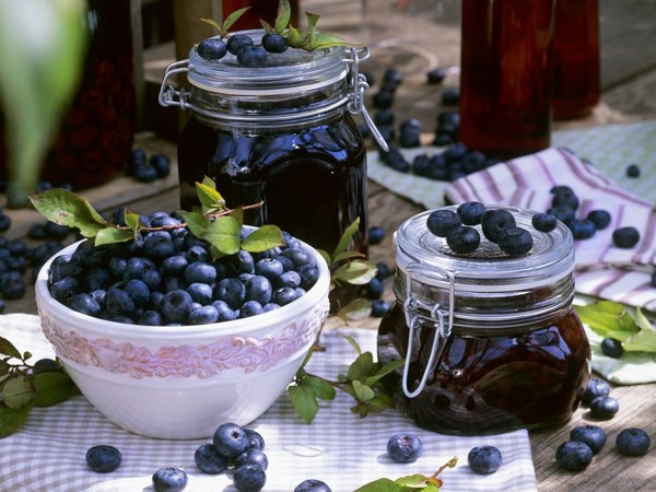 Ricette ai mirtilli per l'inverno Ricette ai mirtilli per l'inverno