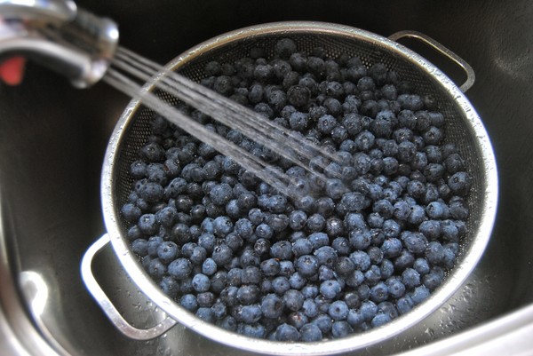 Ricette ai mirtilli per l'inverno