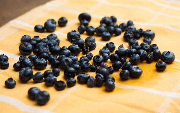Ricette ai mirtilli per l'inverno