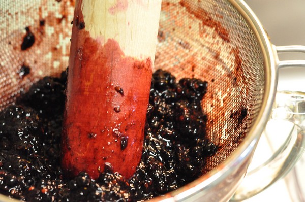 Ricette ai mirtilli per l'inverno
