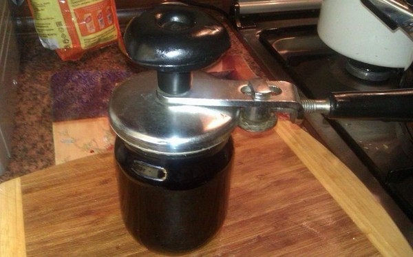 Ricette ai mirtilli per l'inverno
