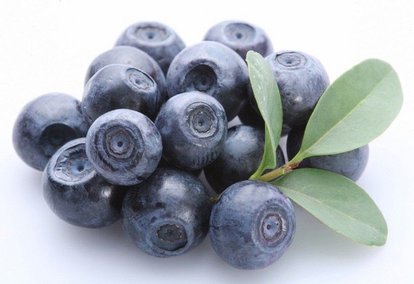 Ricette ai mirtilli per l'inverno