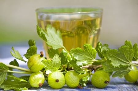 Cosa cucinare con uva spina per l'inverno
