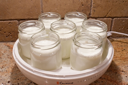 yogurt fatto in casa in yogurtnitsa