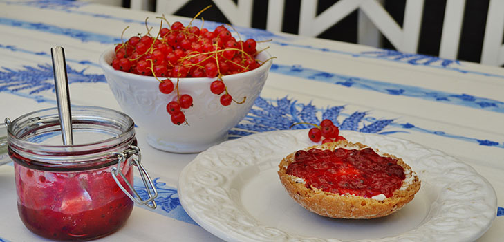 Ribes marmellata rossa - ricette per l'inverno