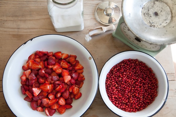Ribes marmellata rossa - ricette per l'inverno