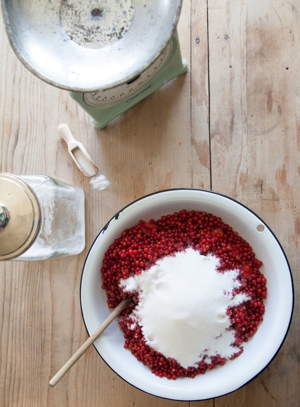 Ribes marmellata rossa - ricette per l'inverno