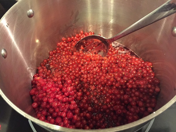 Ribes marmellata rossa - ricette per l'inverno