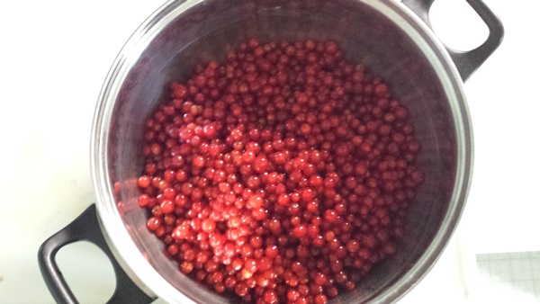 Ribes marmellata rossa - ricette per l'inverno
