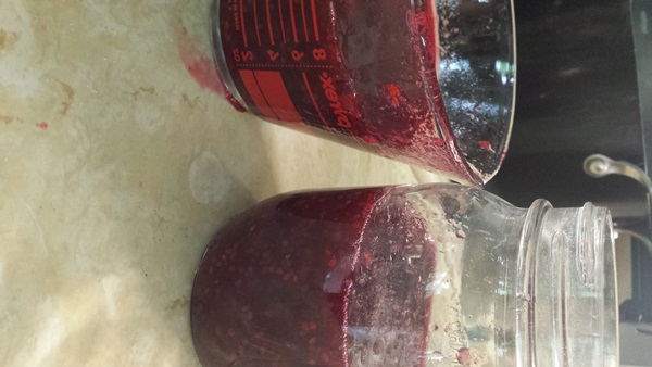 Ribes marmellata rossa - ricette per l'inverno