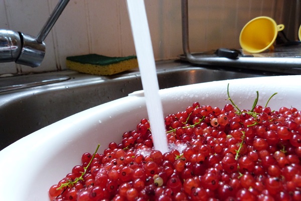 Ribes marmellata rossa - ricette per l'inverno