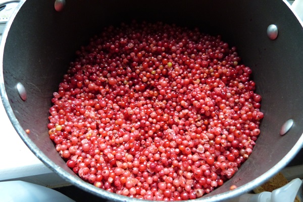 Ribes marmellata rossa - ricette per l'inverno