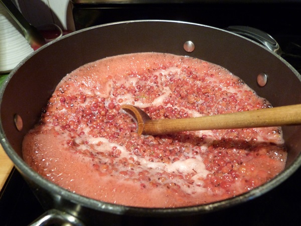 Ribes marmellata rossa - ricette per l'inverno