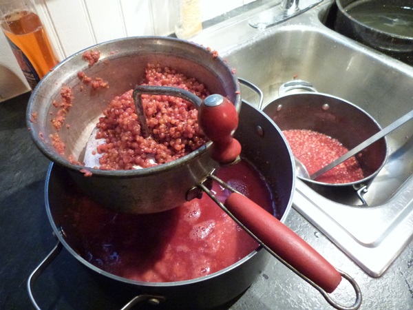 Ribes marmellata rossa - ricette per l'inverno